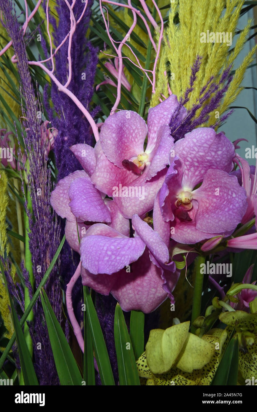 Munich, Allemagne. 05Th Oct, 2019. Un arrangement de fleurs d'orchidées pourpres et herbes décore l'entrée du musée Villa Stuck. Credit : Ursula Düren/dpa/Alamy Live News Banque D'Images