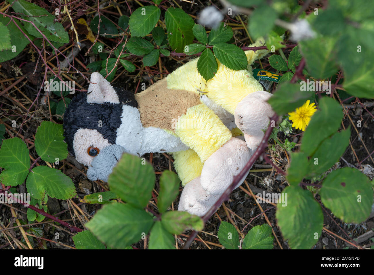 Un doudou d'enfant abandonné Banque D'Images