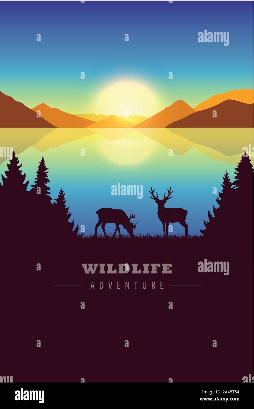 L'aventure de la faune dans la région de elk paysage d'automne par le lac au coucher du soleil illustration vecteur EPS10 Illustration de Vecteur