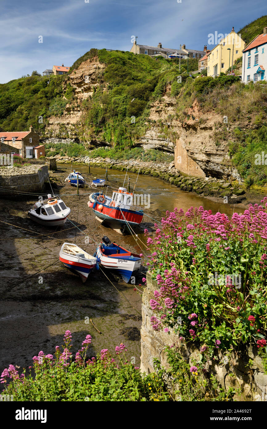 Bateaux de pêche à marée basse sur Staithes Beck avec couches jurassiques et falaises rouges Valériane fleurs à Staithes village balnéaire North Yorkshire Angleterre Banque D'Images