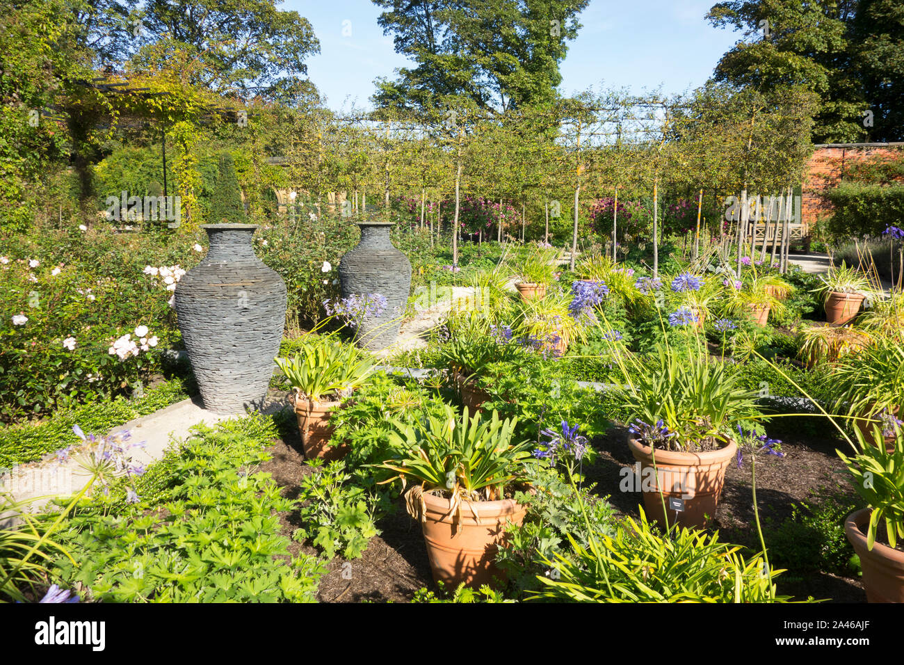 Dans le jardin d'Ornement Jardin d'Alnwick Northumberland Royaume-uni Banque D'Images
