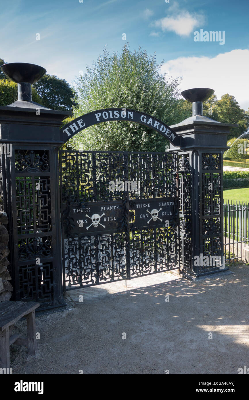L'entrée au poison dans le Jardin Jardin d'Alnwick Northumberland Royaume-uni Banque D'Images
