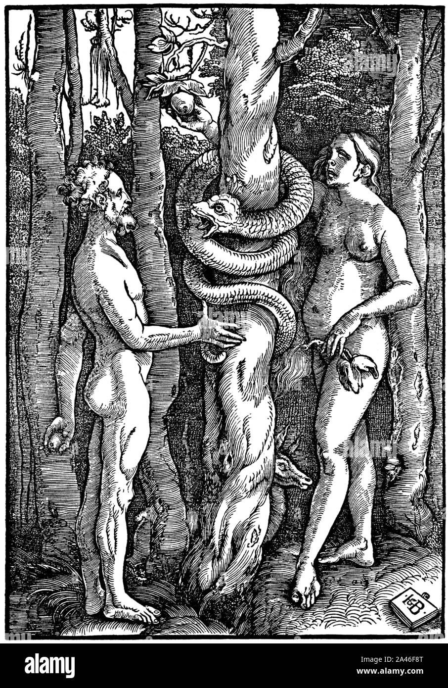 Gravure sur bois par Hans Baldung Grien, Adam et Eve dans le paradis, Adam und Eva im Paradies Banque D'Images