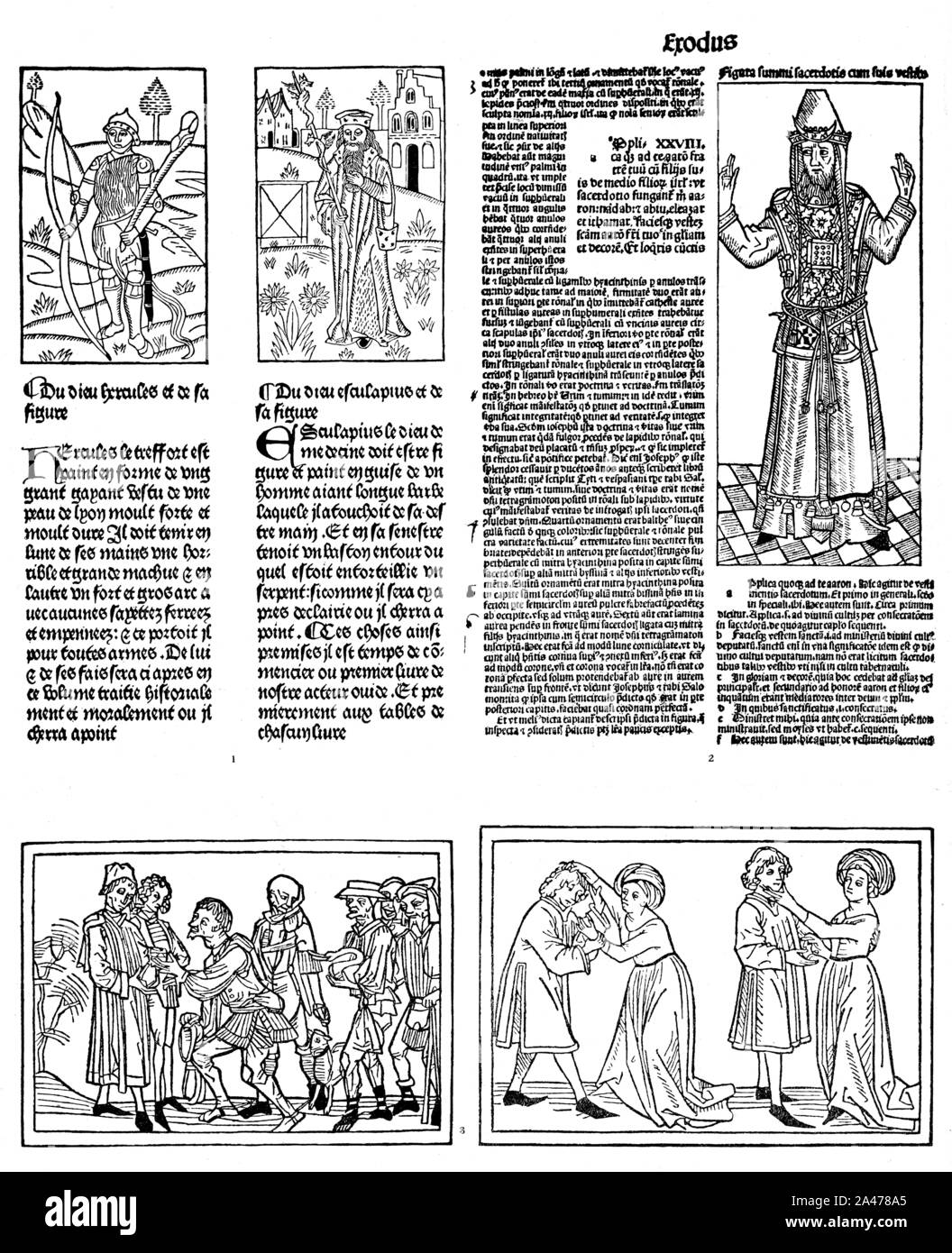 Le miroir de la vie humaine, Heinrich Steinhöwel Steinhäuel, Steinheil, Ulmer Aesop. Der Spiegel des menschlichen Lebens. Banque D'Images