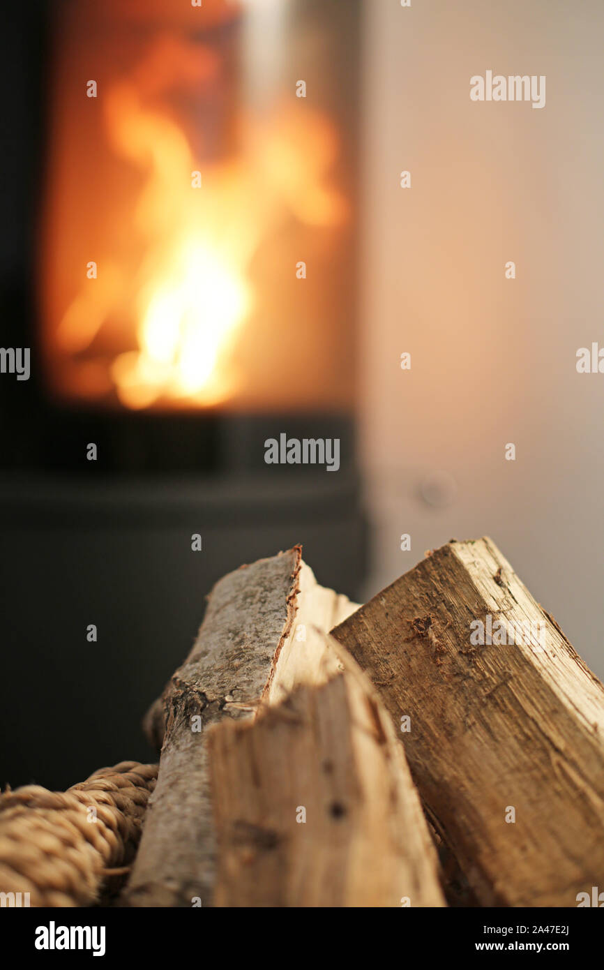 Bois de feu en face de burning stove Banque D'Images