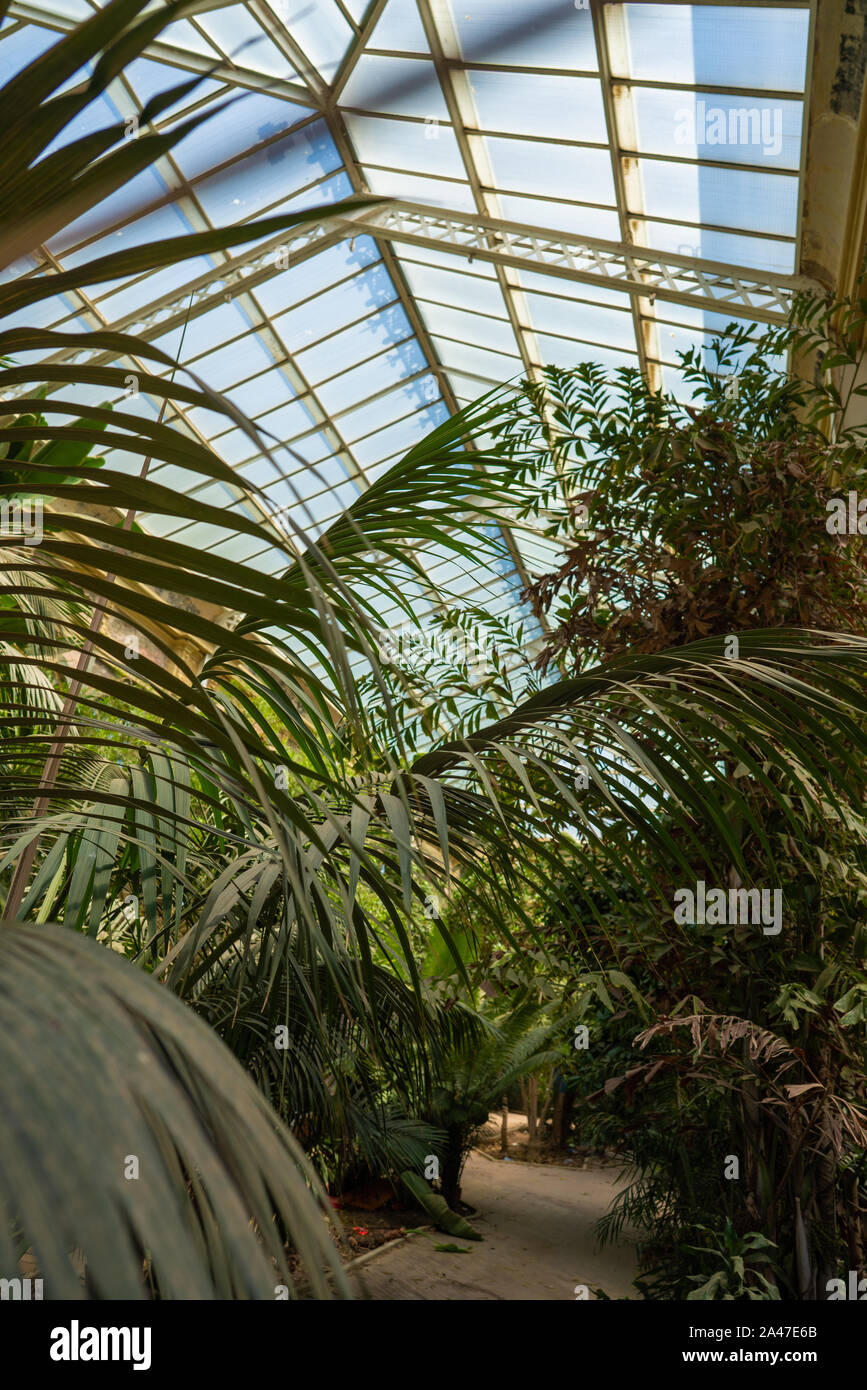 Jardin d'intérieur à Ciutadella Park Banque D'Images