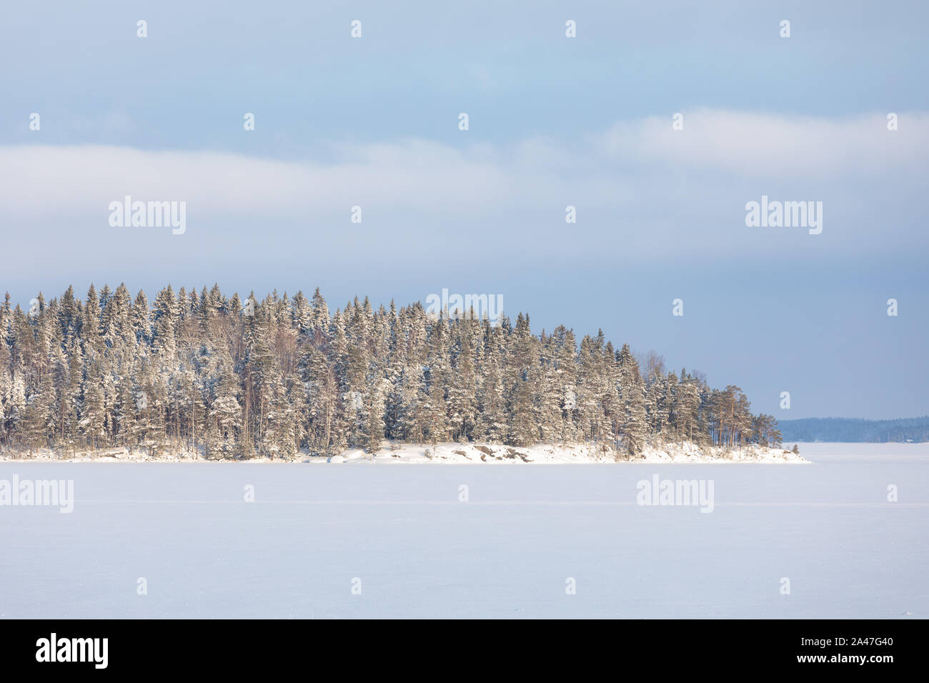 Paysage du lac et de la forêt à l'île de jour d'hiver Banque D'Images