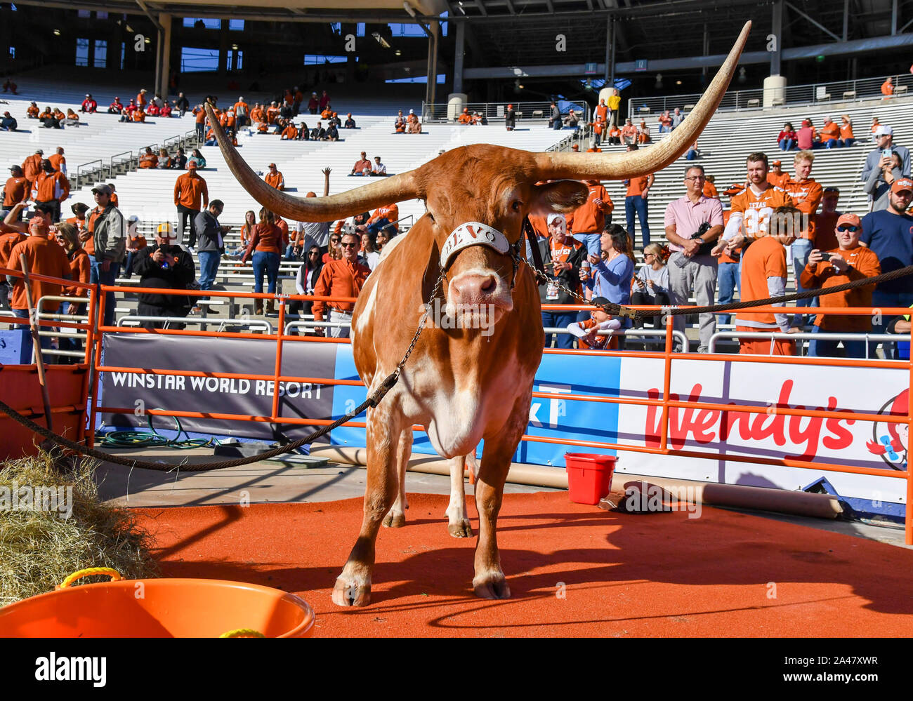 Oct 12, 2019 : Le Texas longhorns mascot Bevo avant la rivière Rouge jeu NCAA rivalité entre l'Université de l'Oklahoma Sooners et l'Université de Texas longhorns au Cotton Bowl Stadium à Fair Park à Dallas, TX Texas défait 34-27 Albert Pena/CSM Banque D'Images