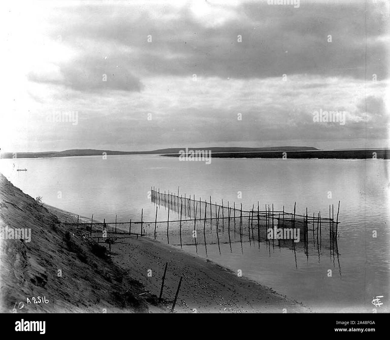 Le piège à poisson sur la baie Nushagak, Alaska, ndd (COBB 170). Banque D'Images