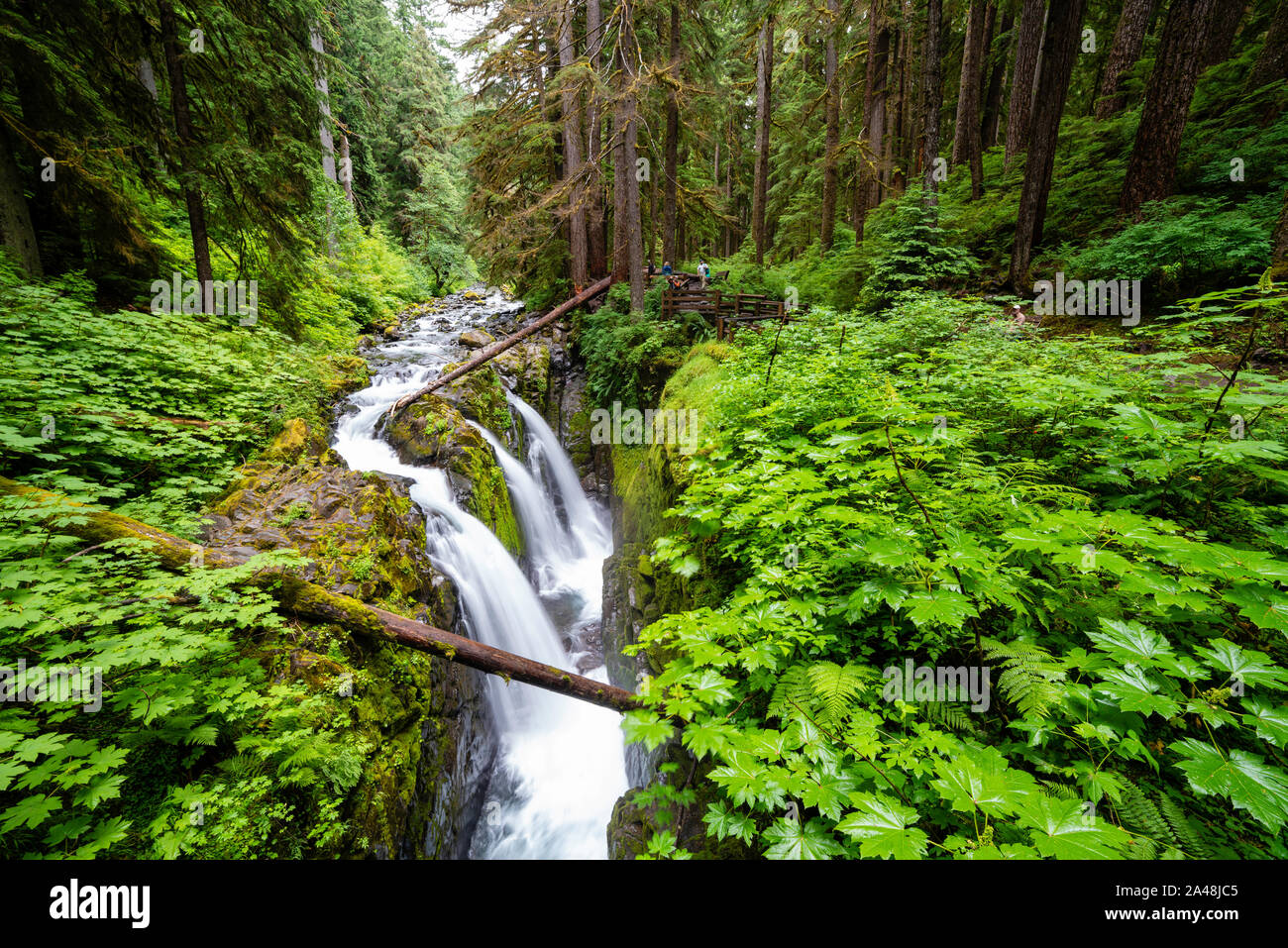 Sol Duc tombe sur l'image à l'unité de Sol Duc d'Olympic National Park, Washington, USA. Banque D'Images