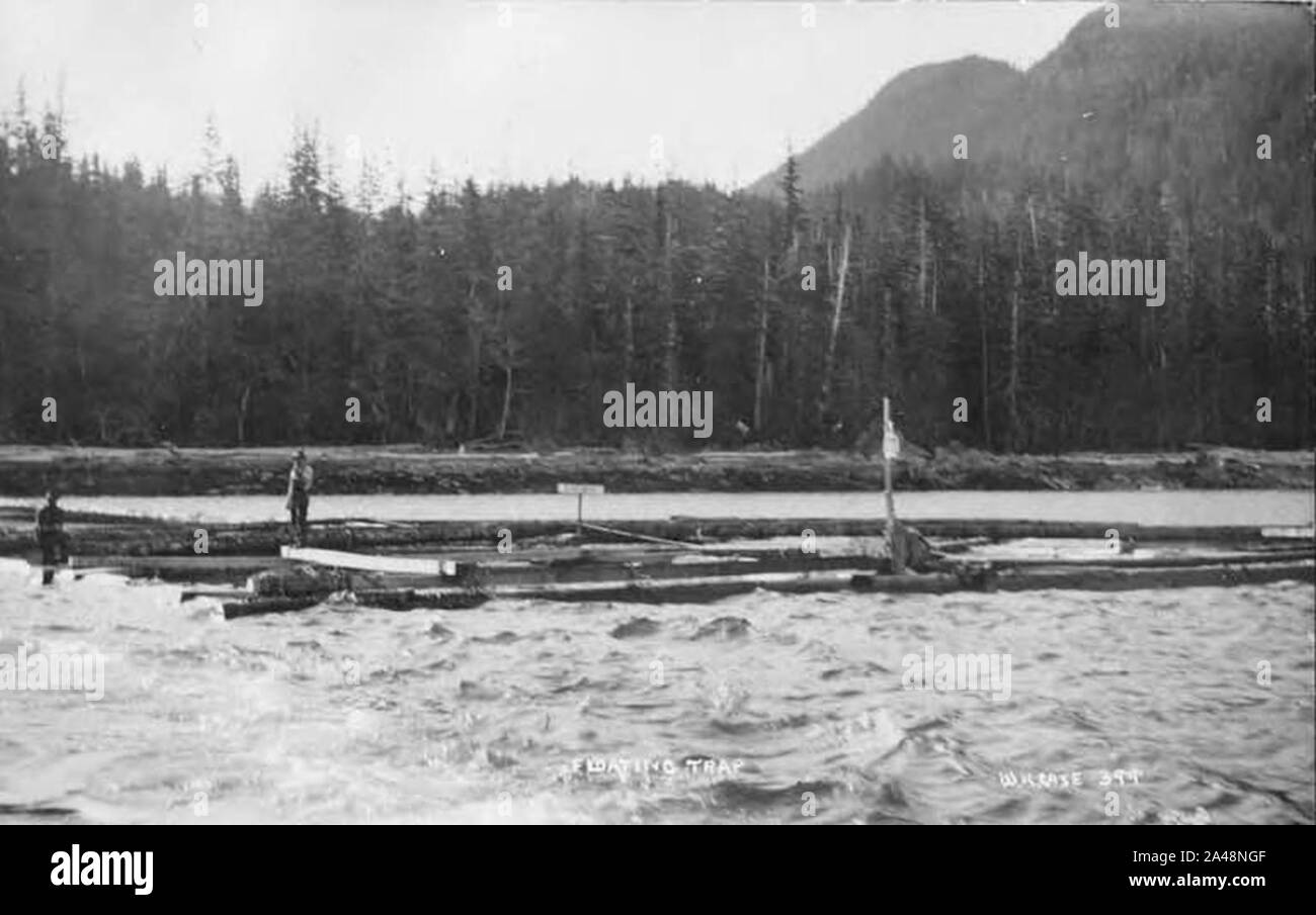 Piège à poisson flottant en Alaska vers 1908 (AL +CA 3355). Banque D'Images