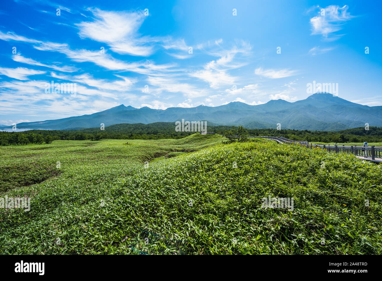 Le Parc National de Shiretoko situé sur la péninsule de Shiretoko dans l'est de Hokkaido Banque D'Images