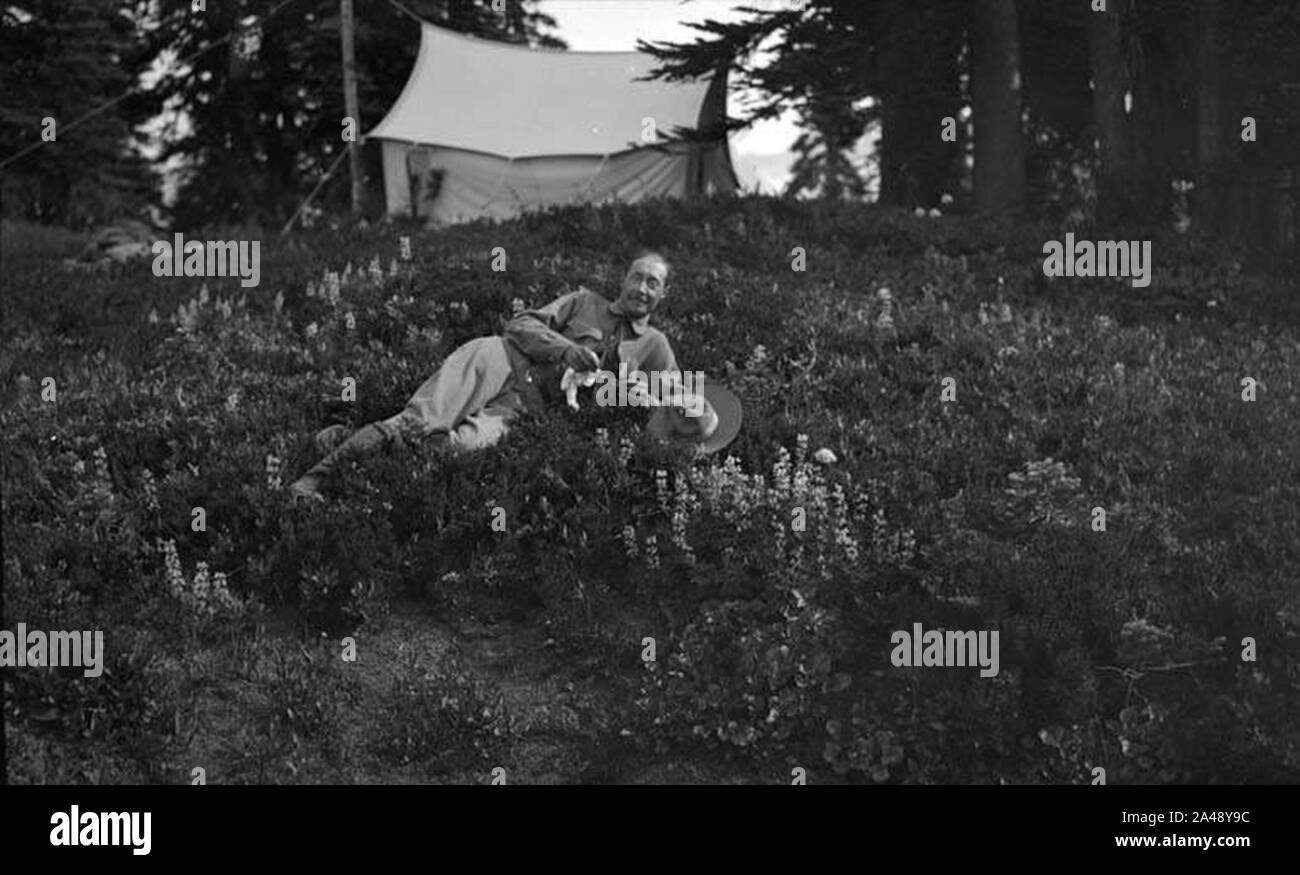FE Matthes dans champ de fleurs au Paradis Park Mt Rainier Août 1911 WASTATE (2320). Banque D'Images