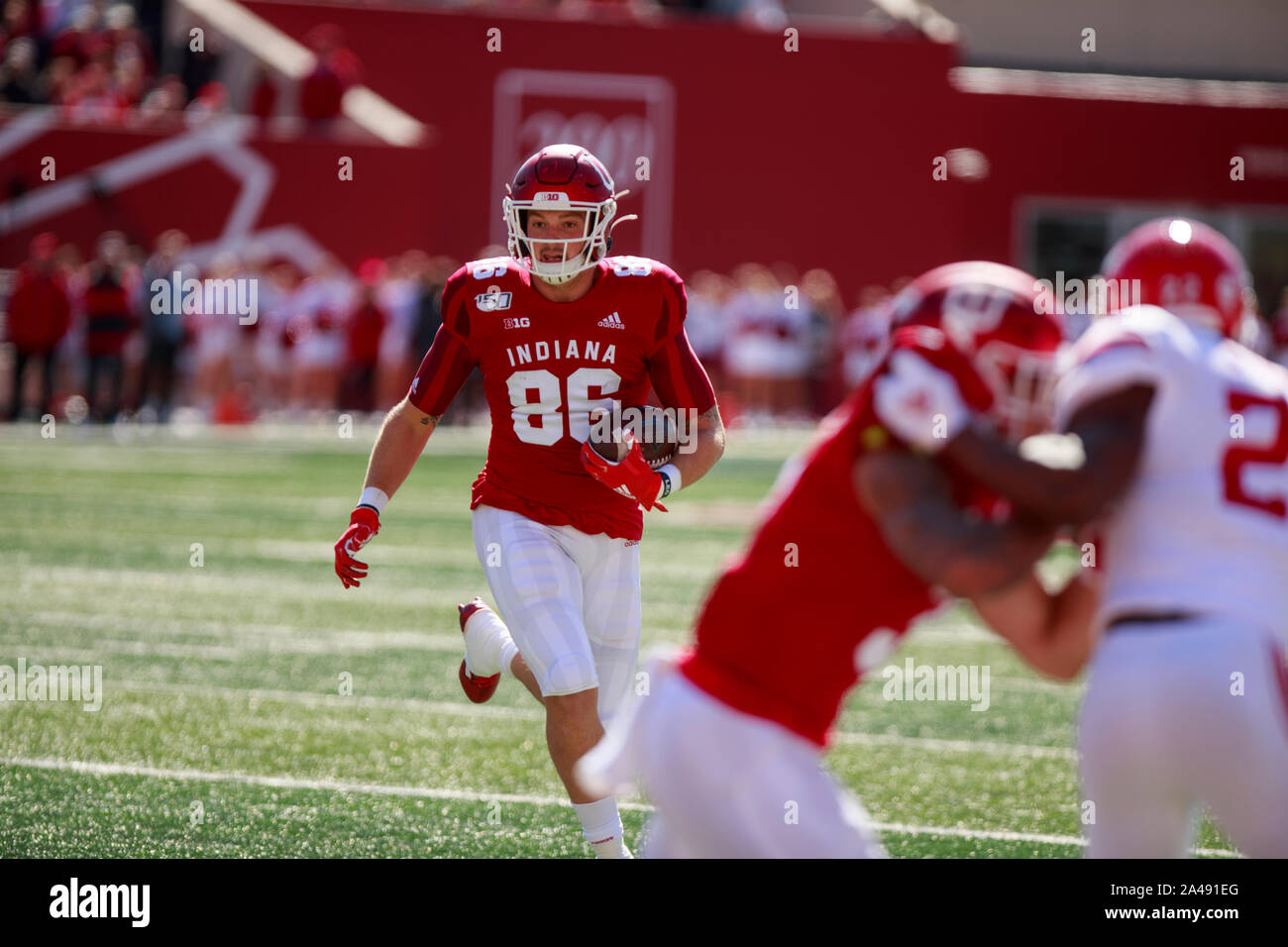 Bloomington, États-Unis. 12 octobre, 2019. Indiana University's Peyton Hendershot (86) fait un touché en but à l'encontre de la Rutgers pendant la NCAA football match au Memorial Stadium à Bloomington Indiana Hoosiers.Le beat le Rutgers Scarlet Kings 35-0. Credit : SOPA/Alamy Images Limited Live News Banque D'Images