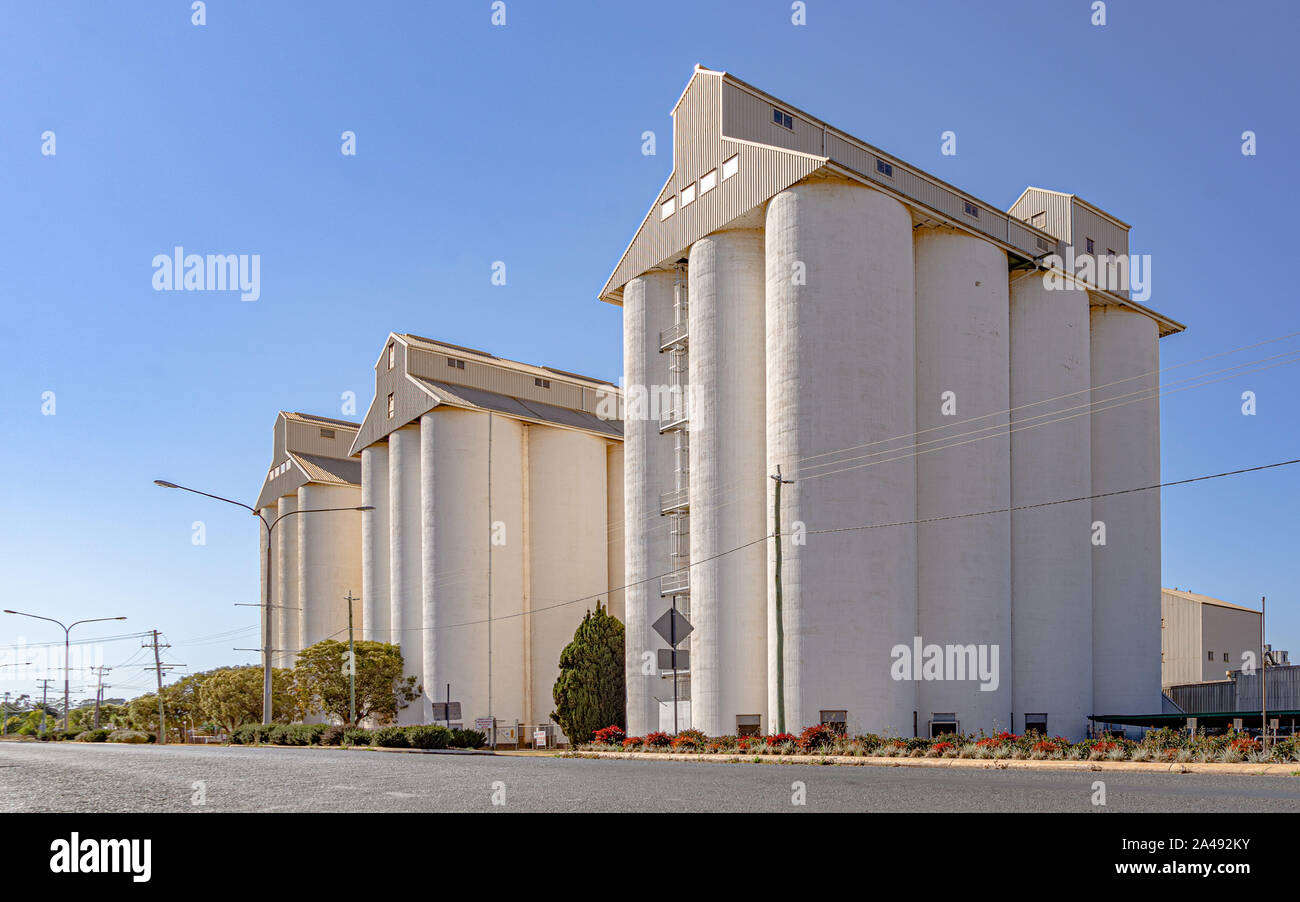 Les silos d'arachide à Kingaroy. Queensland Banque D'Images