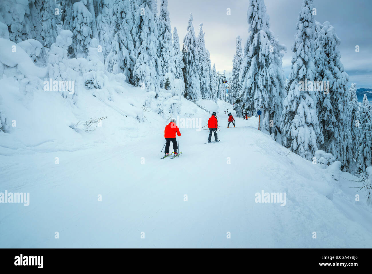 Arbres couverts de neige magnifique et l'hiver ski resort. Amateurs de ski alpin descente en célèbre Predeal ski resort, Transylvanie, Roumanie, Europe Banque D'Images