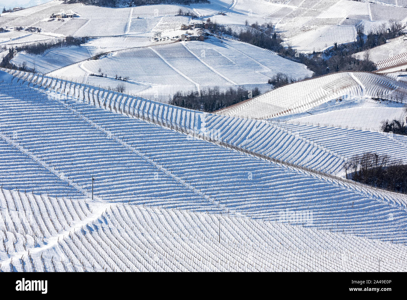 Vue sur vignes sur les collines couvertes de neige en Piémont, Italie du Nord. Banque D'Images