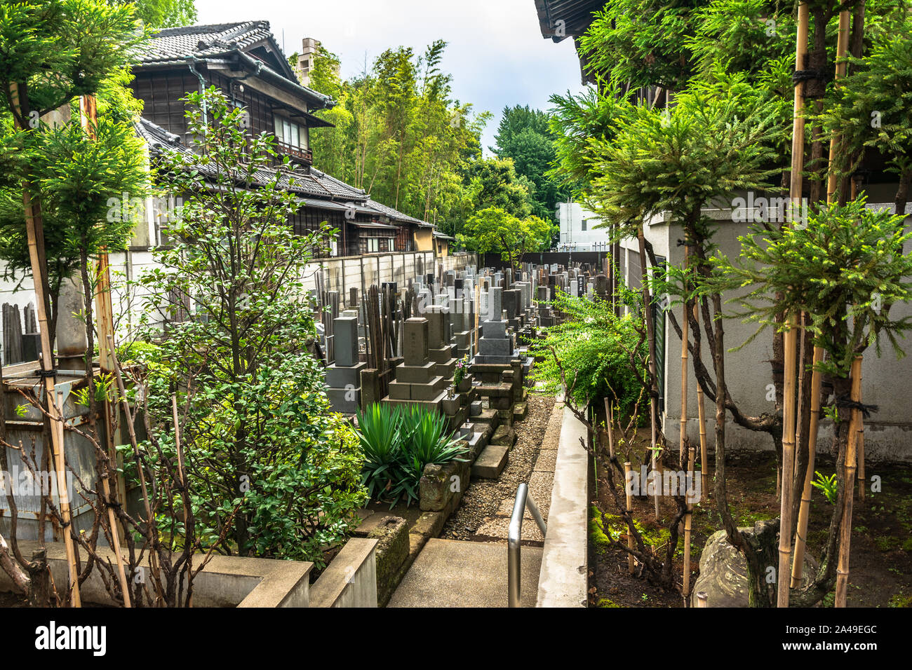 Tokyo, Japon, Asie - 25 août 2019 : Le jardin autour du Temple d'Shoshunji Banque D'Images