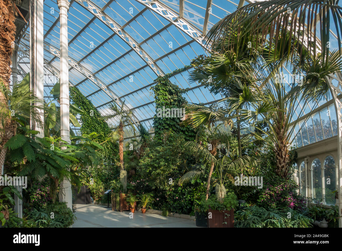 L',Palm House,Sefton Park, Liverpool, Angleterre Banque D'Images