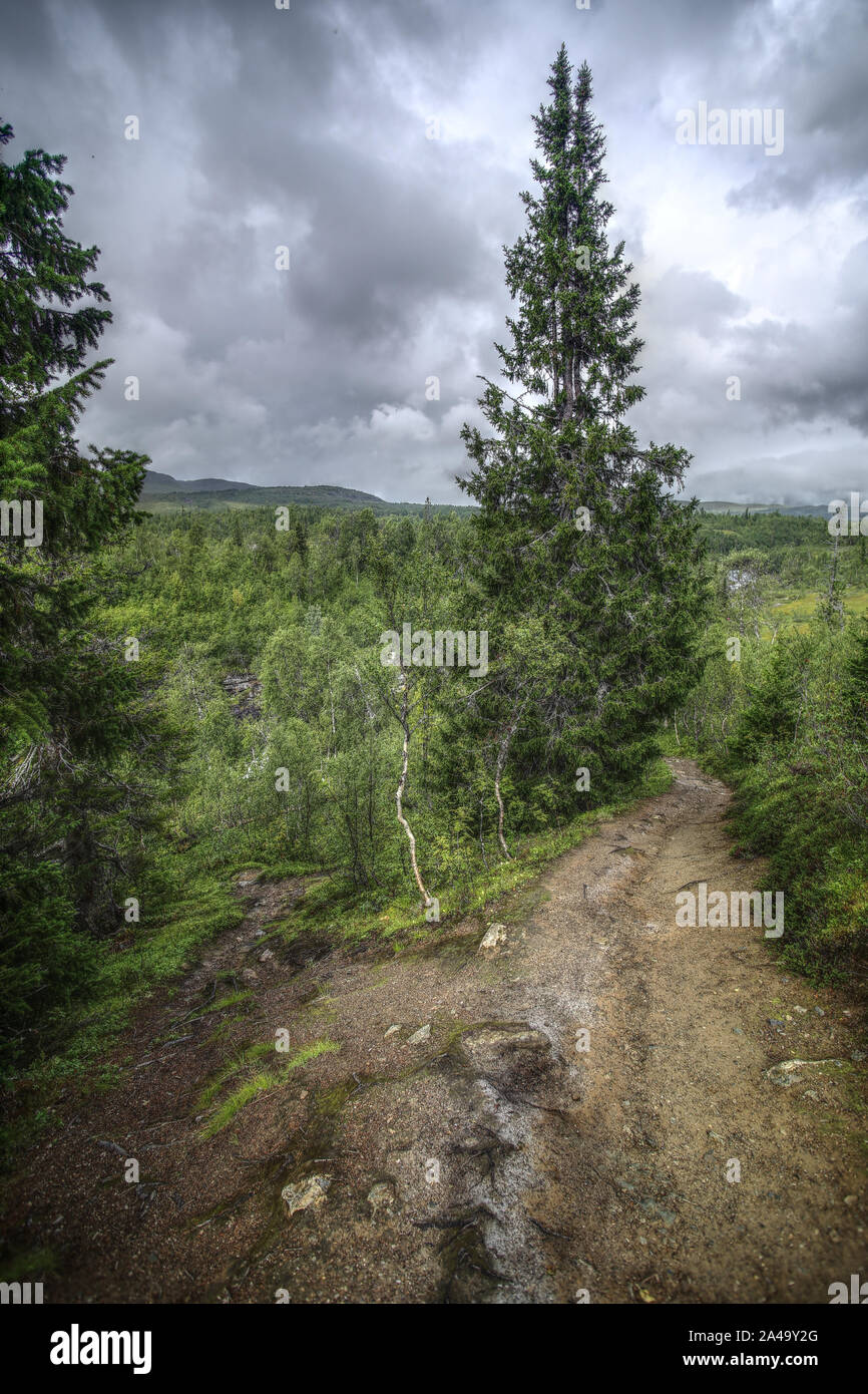 Moyens de séparation près de Gaustafallet en cascade, Suède. Jamtland Banque D'Images