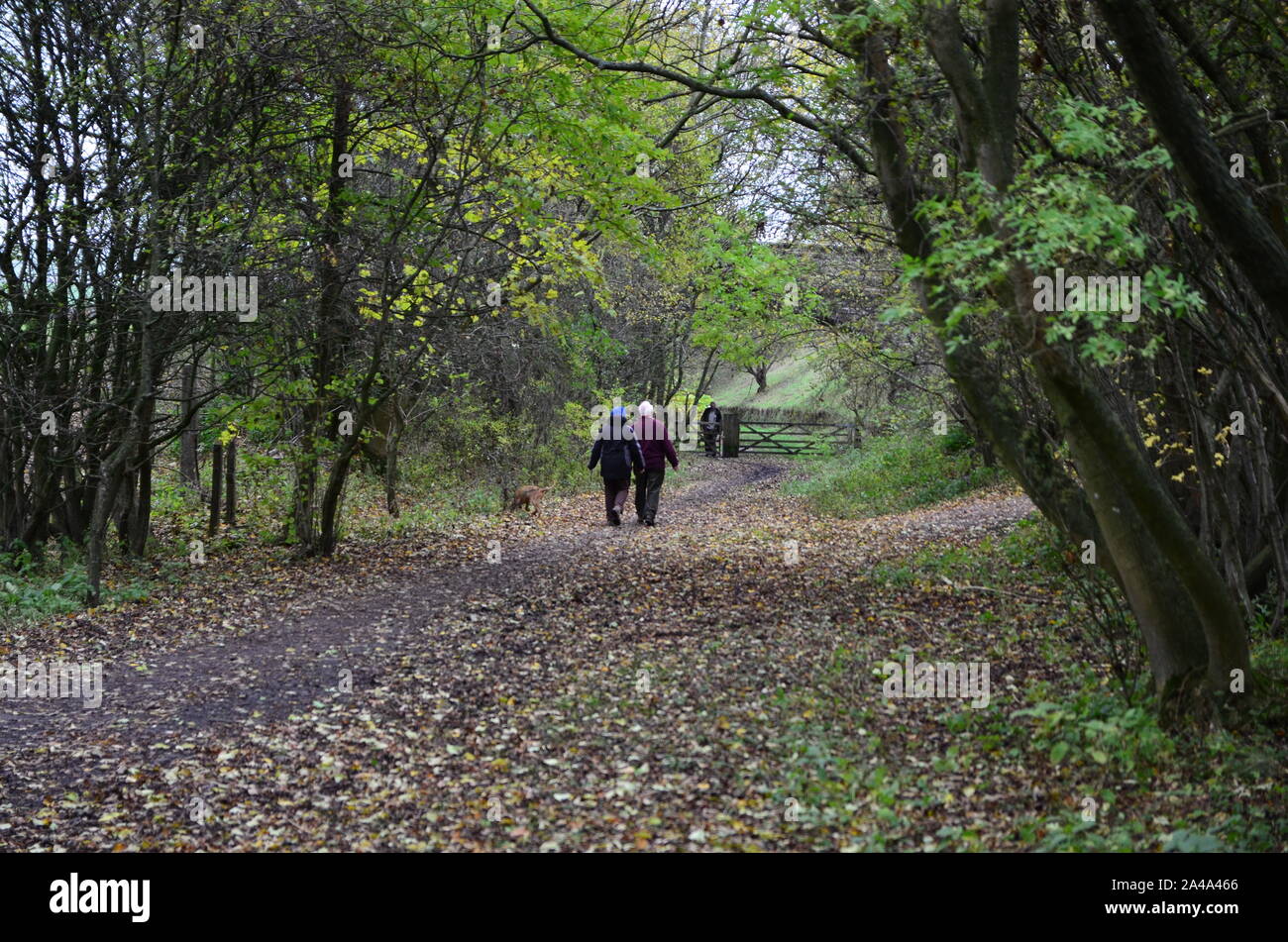 Les promeneurs sur le nord du chemin de fer à pied, Viaduc Banque D'Images