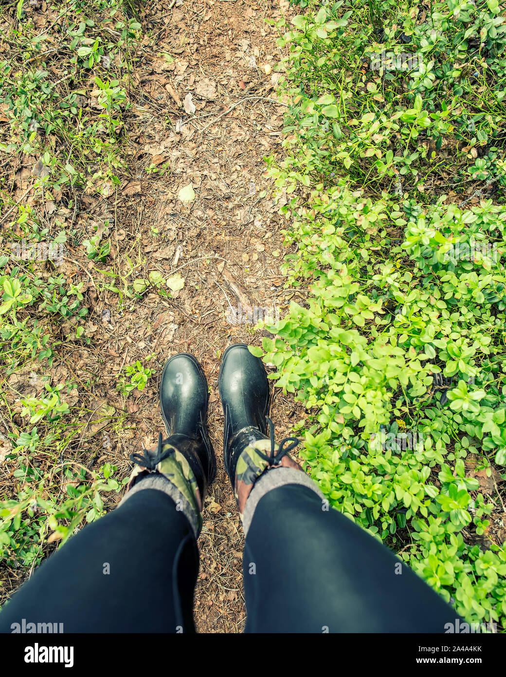 Les jambes des femmes en bottes de caoutchouc étanche se tiennent sur un chemin forestier sur une journée d'été. Banque D'Images