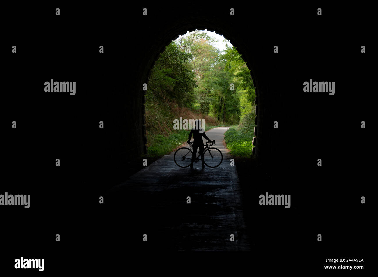 Cycliste féminine Silhouette tunnel, Cote de Beaune itinéraire cycliste, France. Banque D'Images