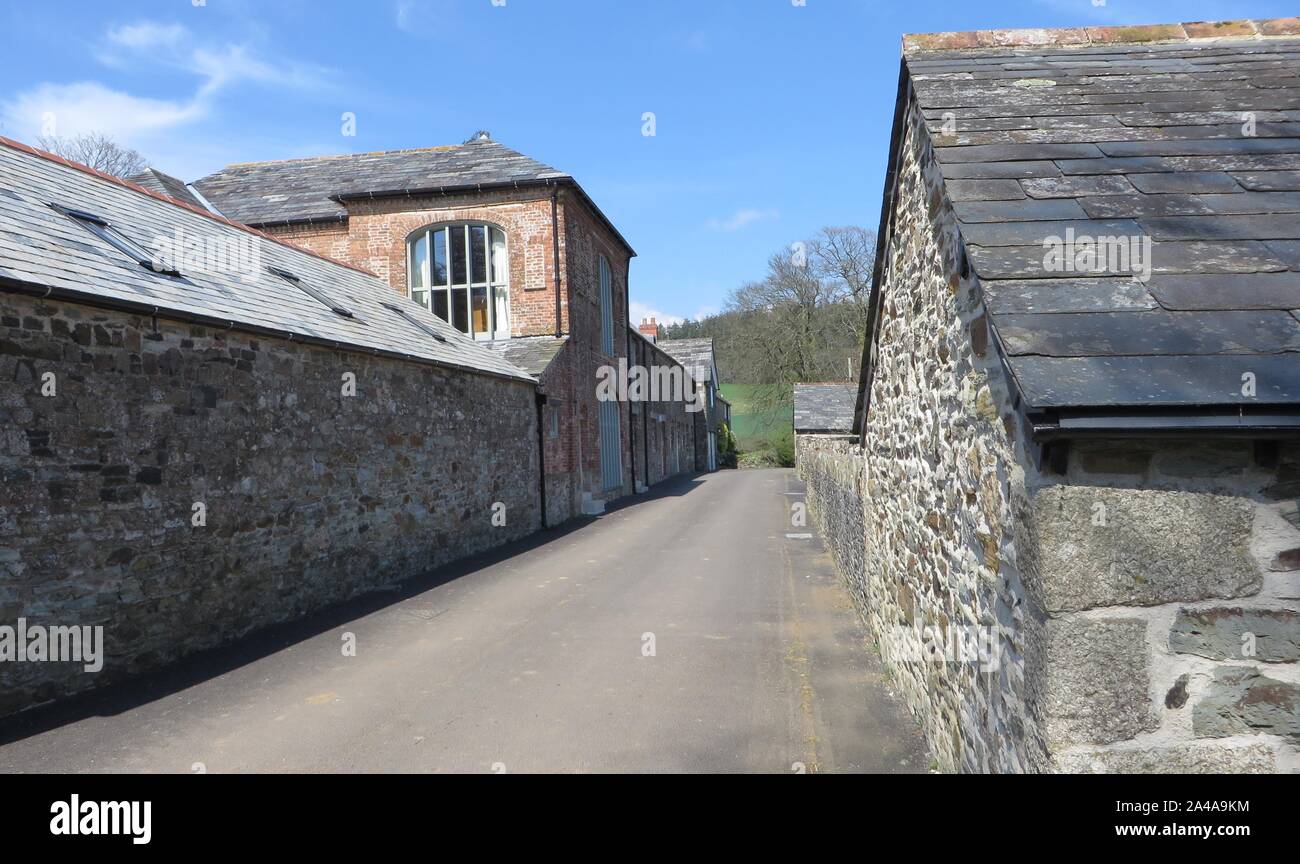 Restormel Château 190415 Banque D'Images