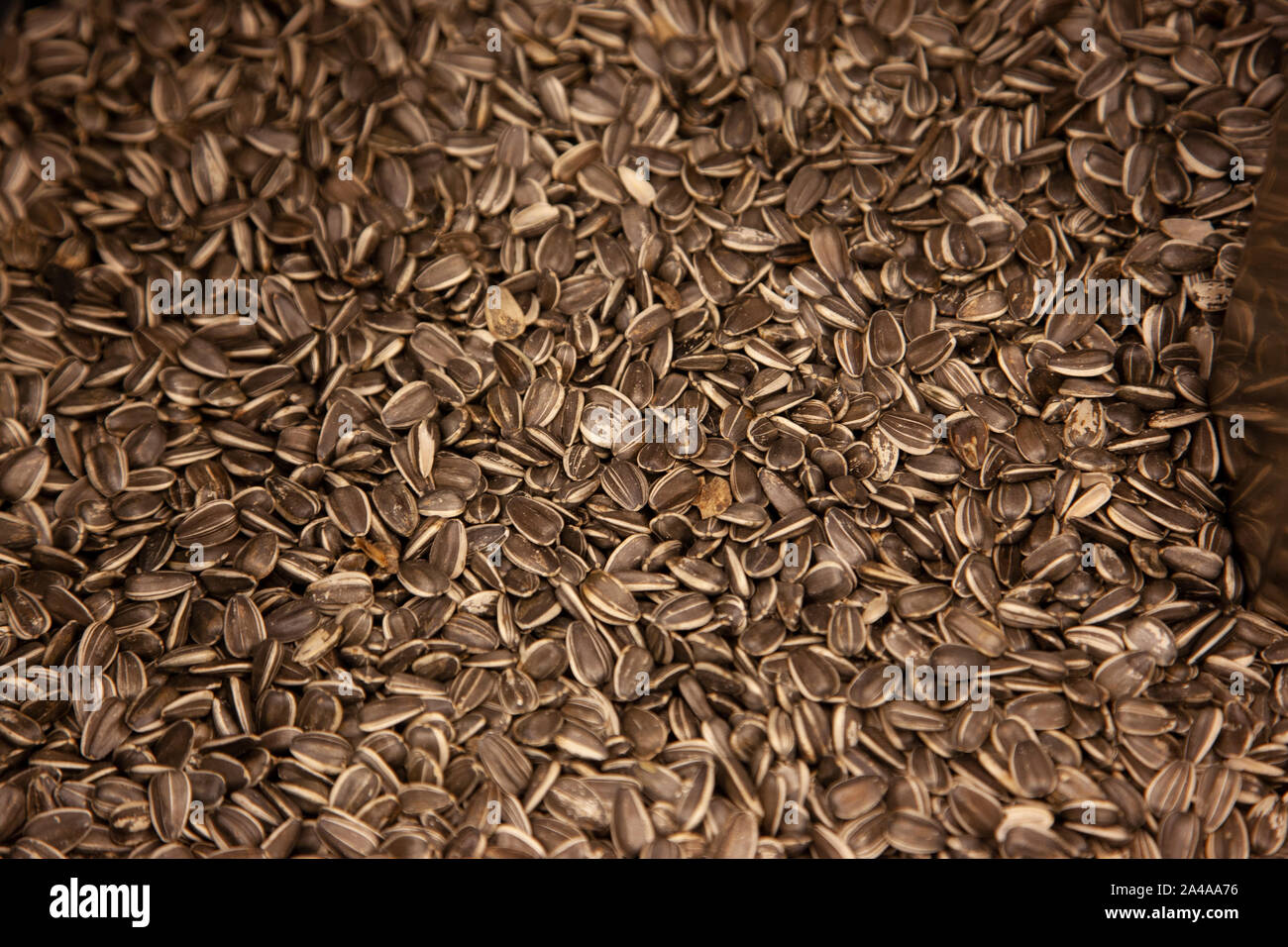 Les graines de tournesol noires une délicieuse collation Banque D'Images