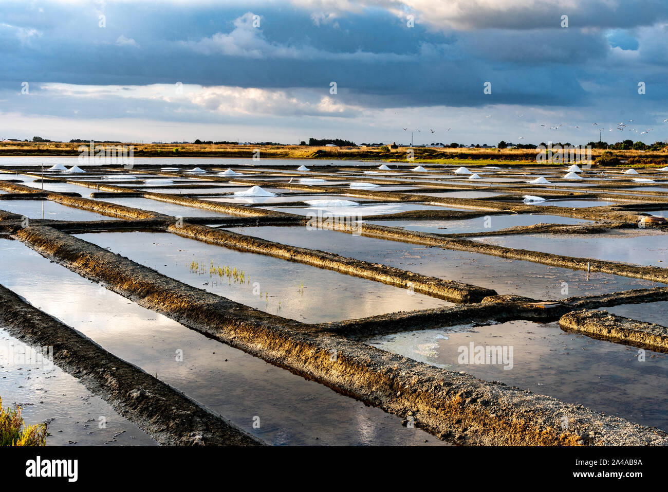 Les marais salants de l'île de Noirmoutier en France. Le soleil se lève sur des étangs, bassins et des tas de sel Banque D'Images