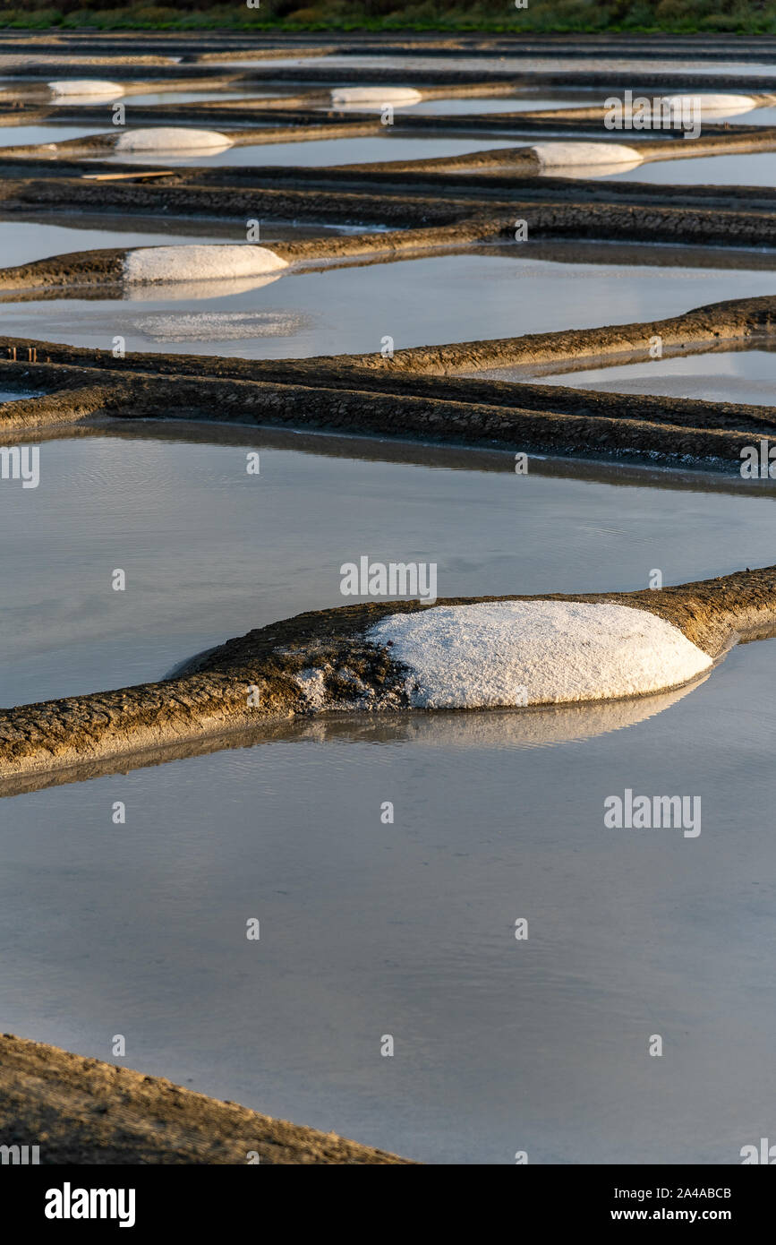 Les marais salants de l'île de Noirmoutier en France. Le soleil se lève sur des étangs, bassins et des tas de sel Banque D'Images