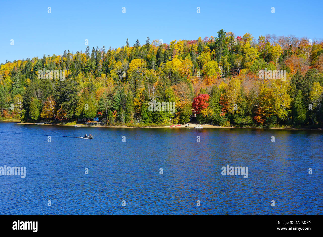 Oxtongue Lake avec chalet et vue sur le parc provincial Algonquin en Ontario près de Huntsville, Canada Banque D'Images