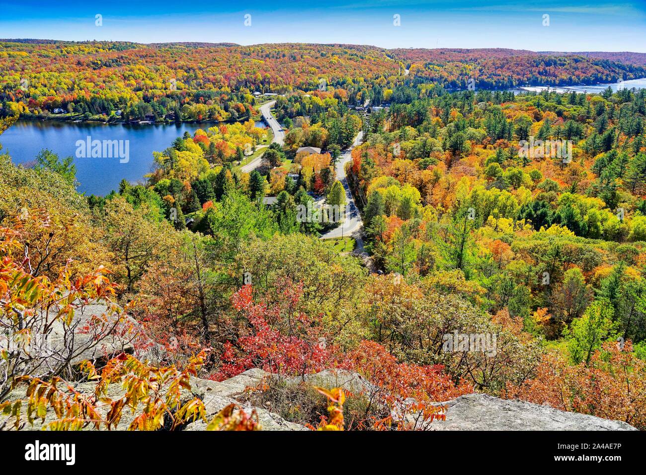 Dorset, Ontario, Canada, Amérique du Nord, couleurs d'automne comme vu de la tour de guet. Banque D'Images