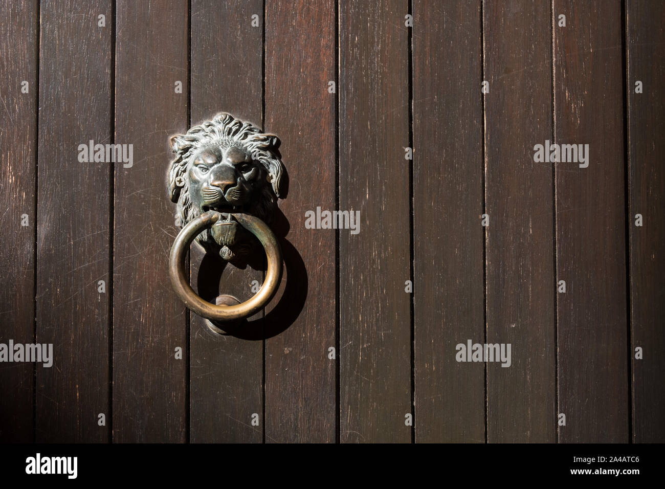 Ancien heurtoir en métal, avec lion face, sur planche en bois porte Banque D'Images