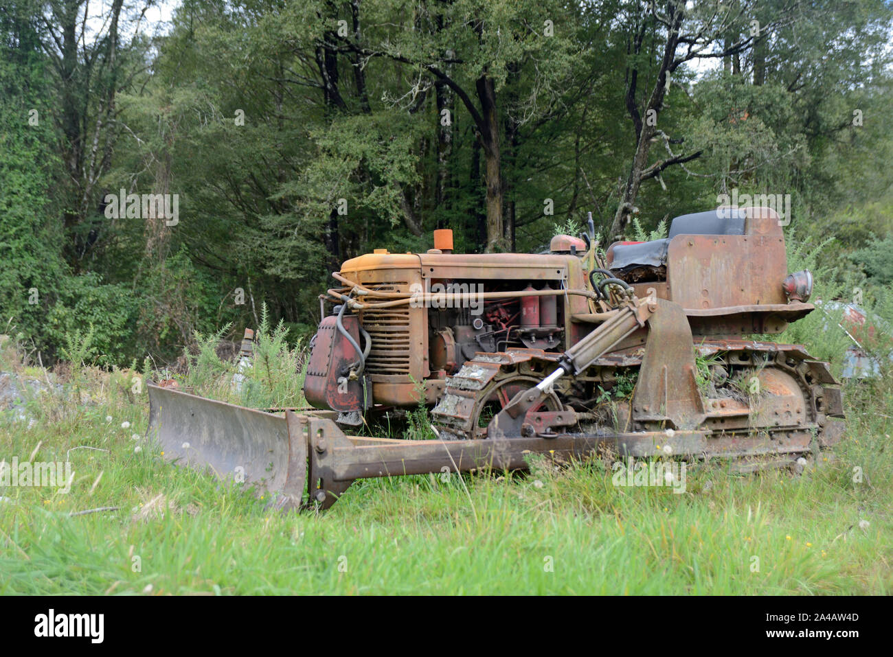 Un bouteur abandonné entre les grands arbres repose sur une colline en Nouvelle Zélande Banque D'Images