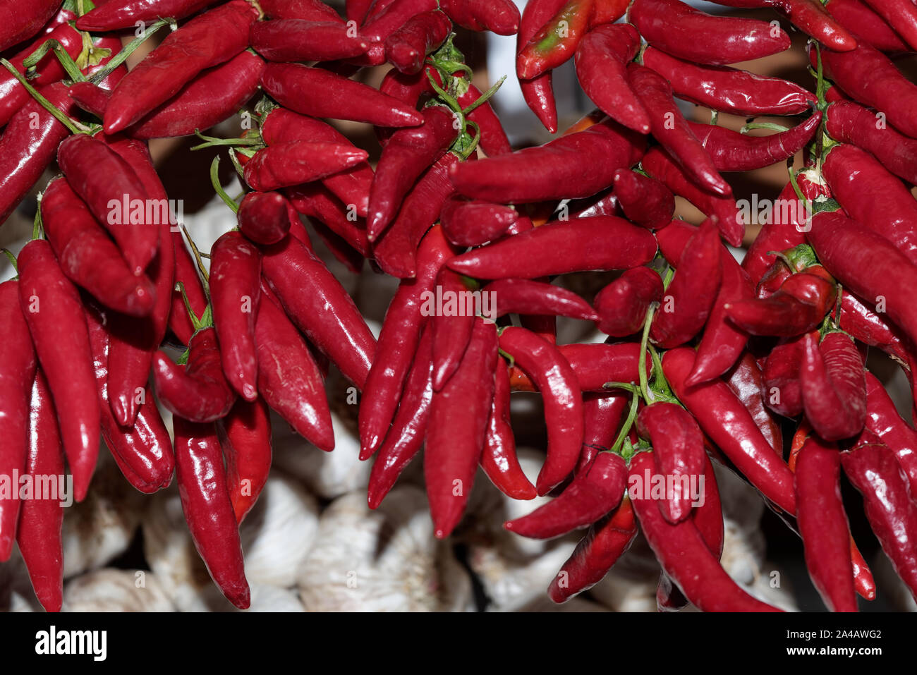 Close-up of hanging red chili peppers bouquets Banque D'Images