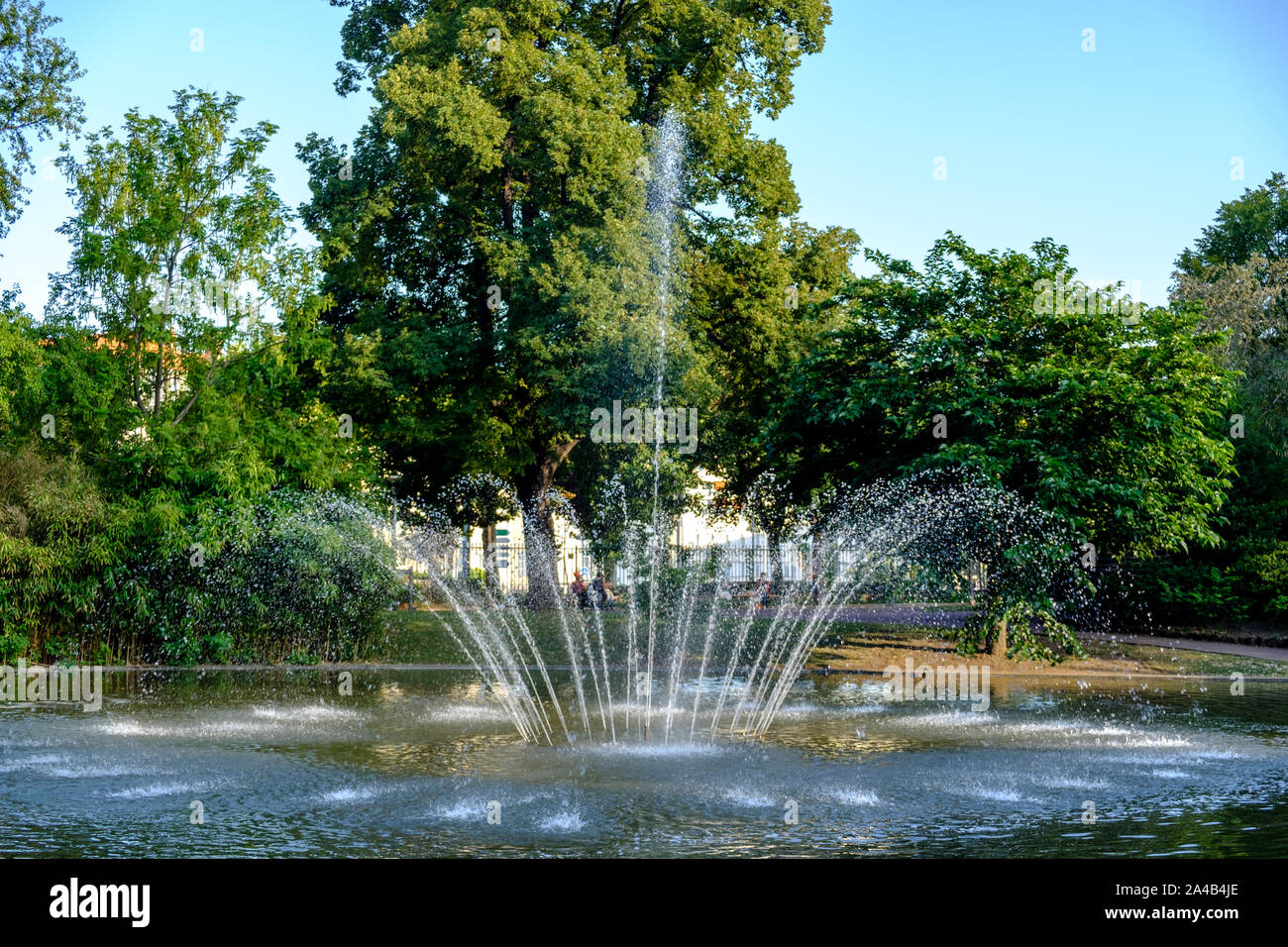 Lac avec fontaine de jardin Le Coq (jardin des plantes de Clermont Ferrand) à Clermont-Ferrand) France Banque D'Images
