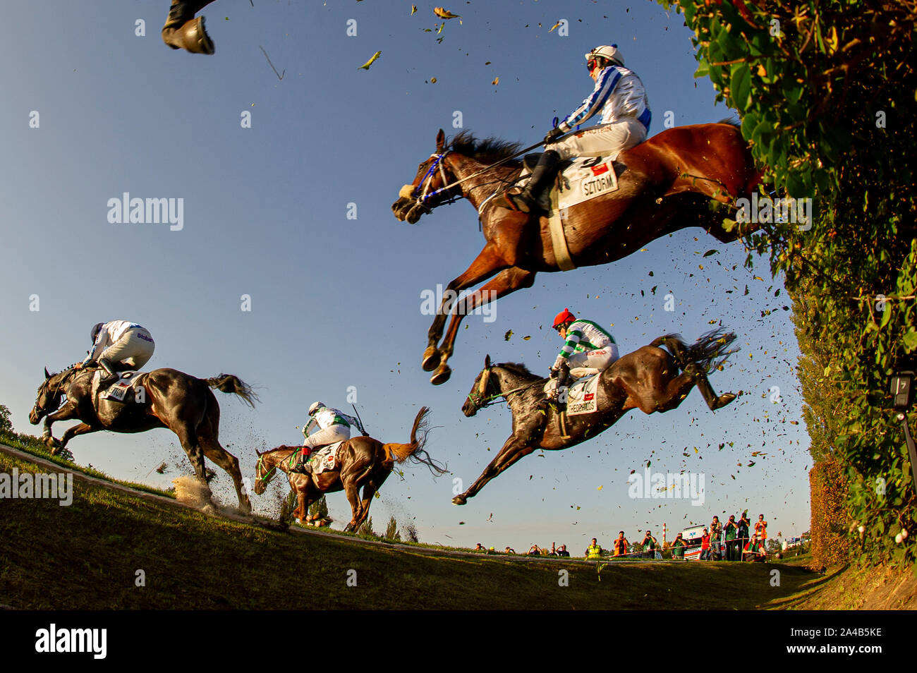 Pardubice, République tchèque. 13 Oct, 2019. 9-year-old bay Theophilos avec jockey Josef Bartos (ci-dessous à droite) a remporté le 129e Grand Steeple-chase de Pardubice aujourd'hui, le dimanche, Octobre 13, 2019, et c'est le troisième entraîneur Bartos et Josef Vana hauts' s 11e victoire dans la course annuelle. Theophilos ont pris part à la plus célèbre course d'tchèque pour la première fois aujourd'hui. Bartos a remporté le Grand Steeple avec bon garçon il y a 13 ans et deux ans plus tard, il fit son triomphe avec 16. Photo : CTK/Tanecek Photo/Alamy Live News Banque D'Images