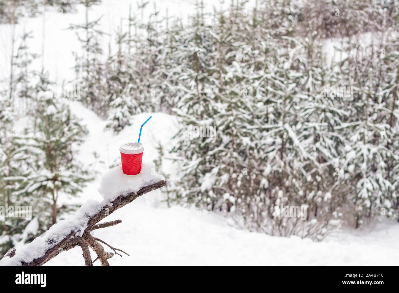 Tasse de café dans la forêt Banque D'Images