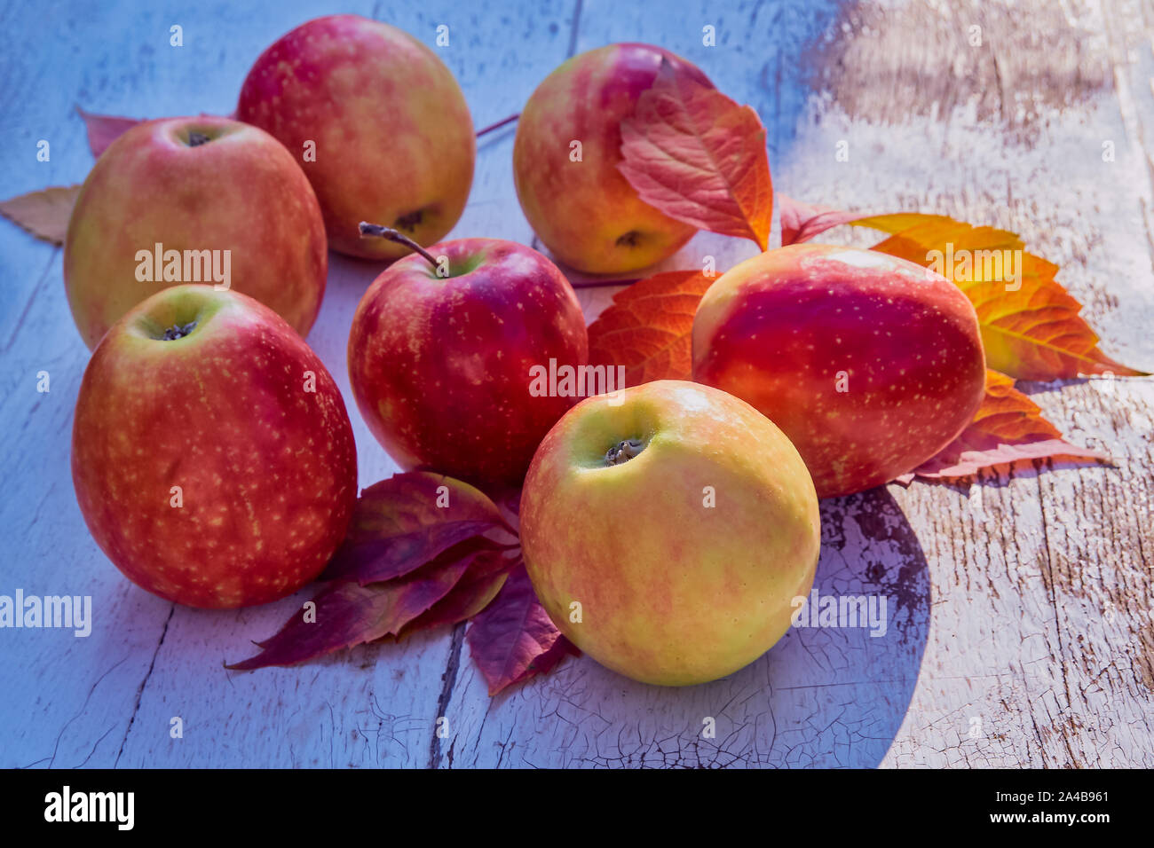 Red juicy pommes mûres sur une vieille table en bois dans le contexte de la nature de l'automne dans le jardin, soft focus sélectif Banque D'Images