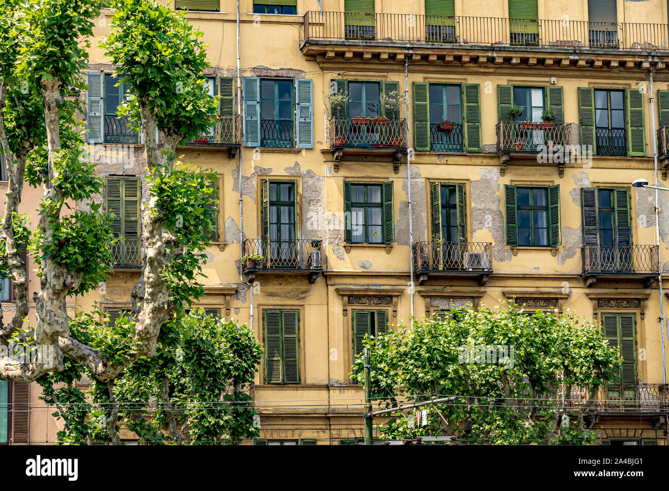Immeuble jaune vert avec des volets en bois et des balcons en fer forgé le long de Corso Cairoli, Turin, Italie Banque D'Images