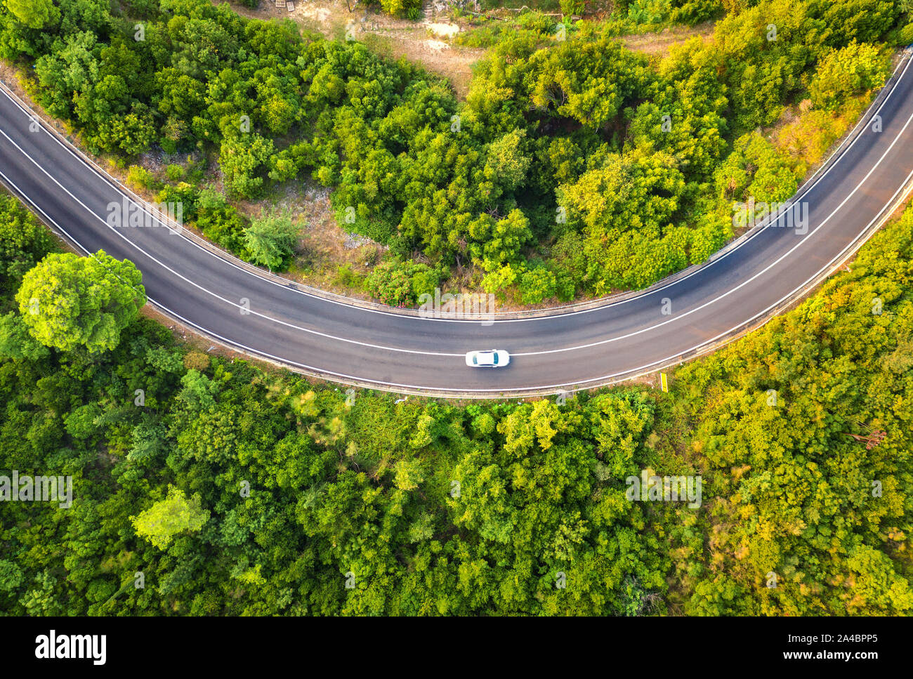 Vue aérienne de la route avec voiture dans la belle forêt à été Banque D'Images