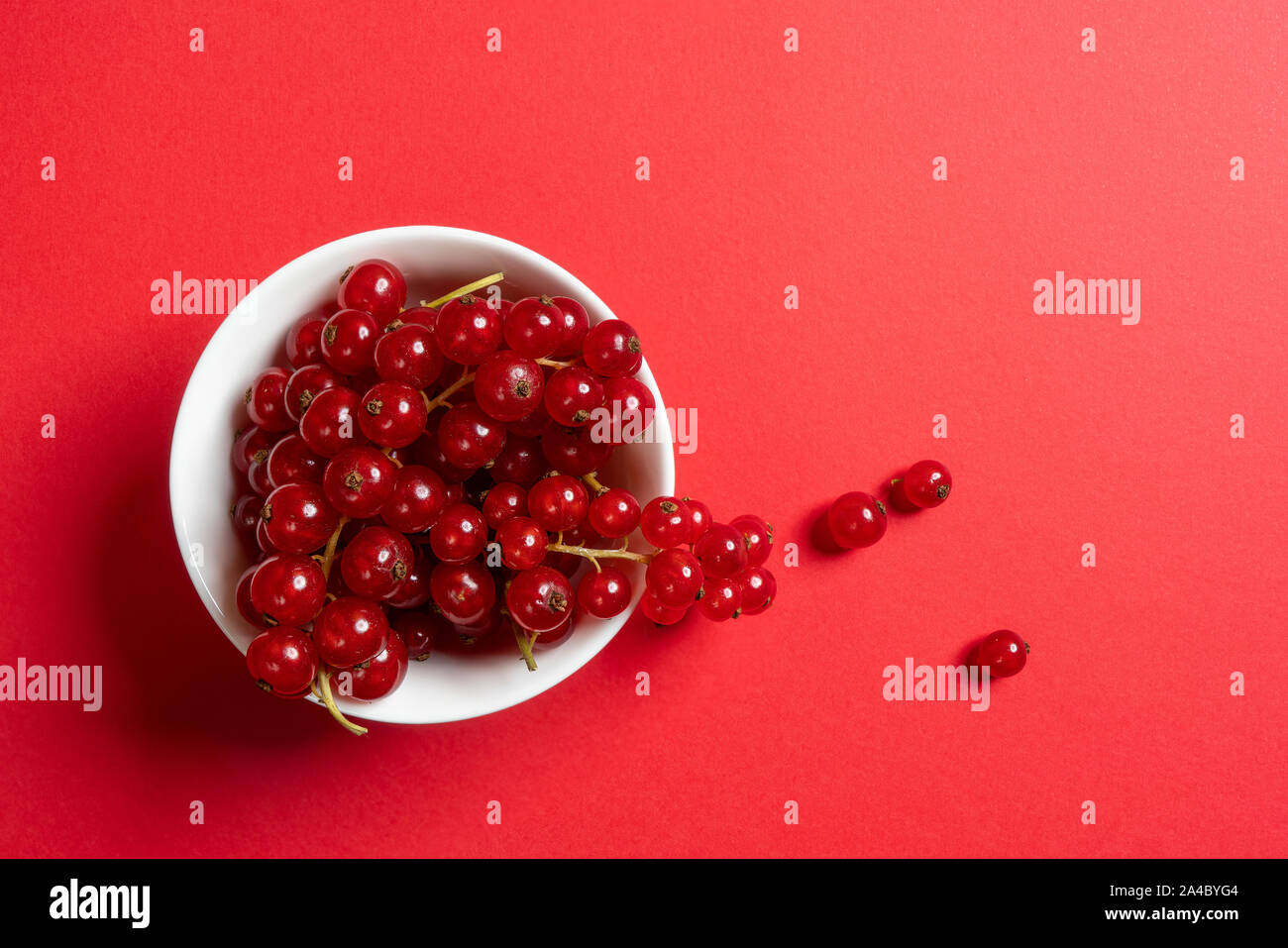 Un bol blanc avec quelques fruits Groseille sur une surface rouge Banque D'Images