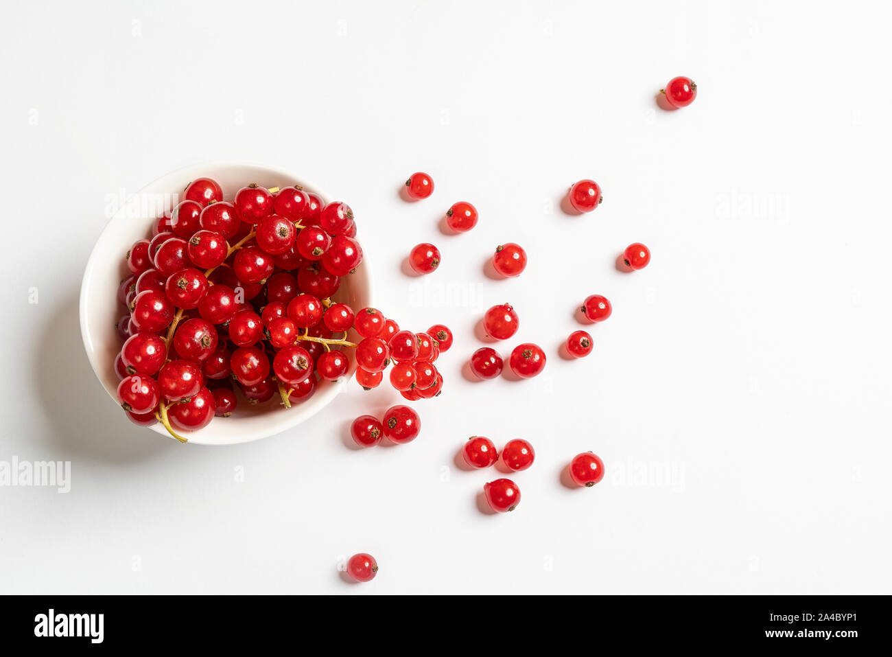 Un bol blanc avec quelques fruits Groseille sur une surface blanche Banque D'Images