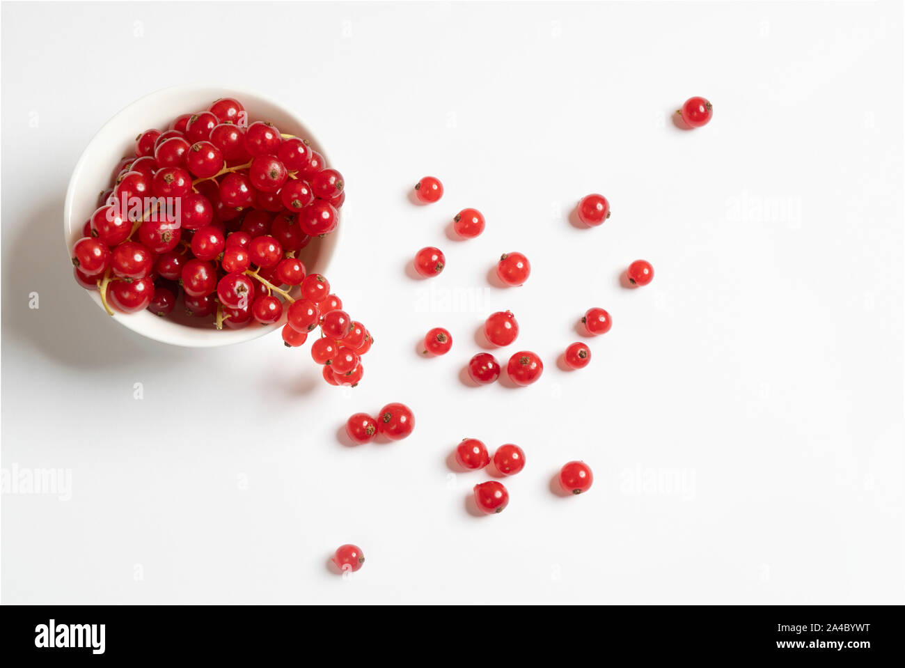 Un bol blanc avec quelques fruits Groseille sur une surface blanche Banque D'Images