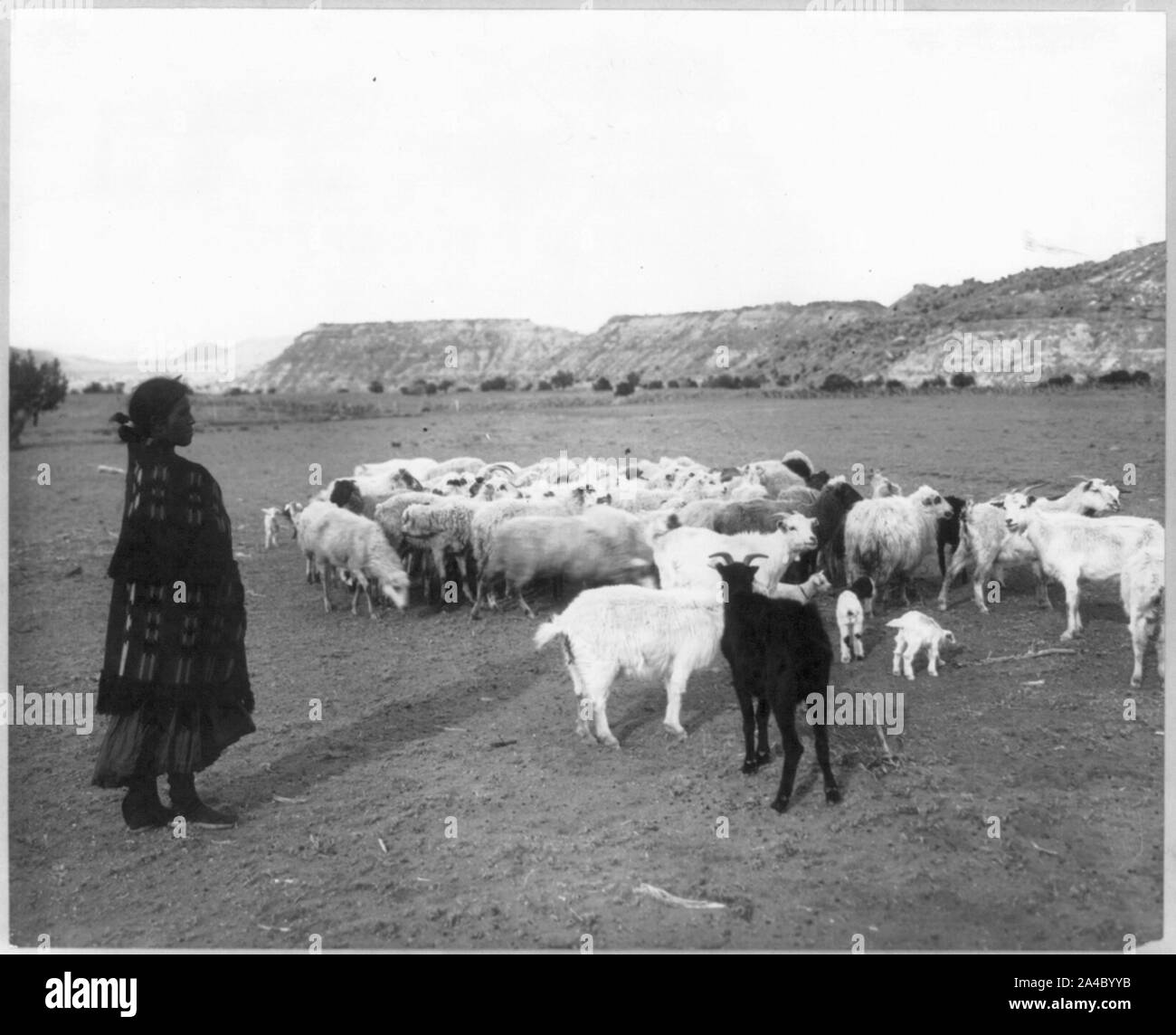 L'Indian Shepherd Banque D'Images