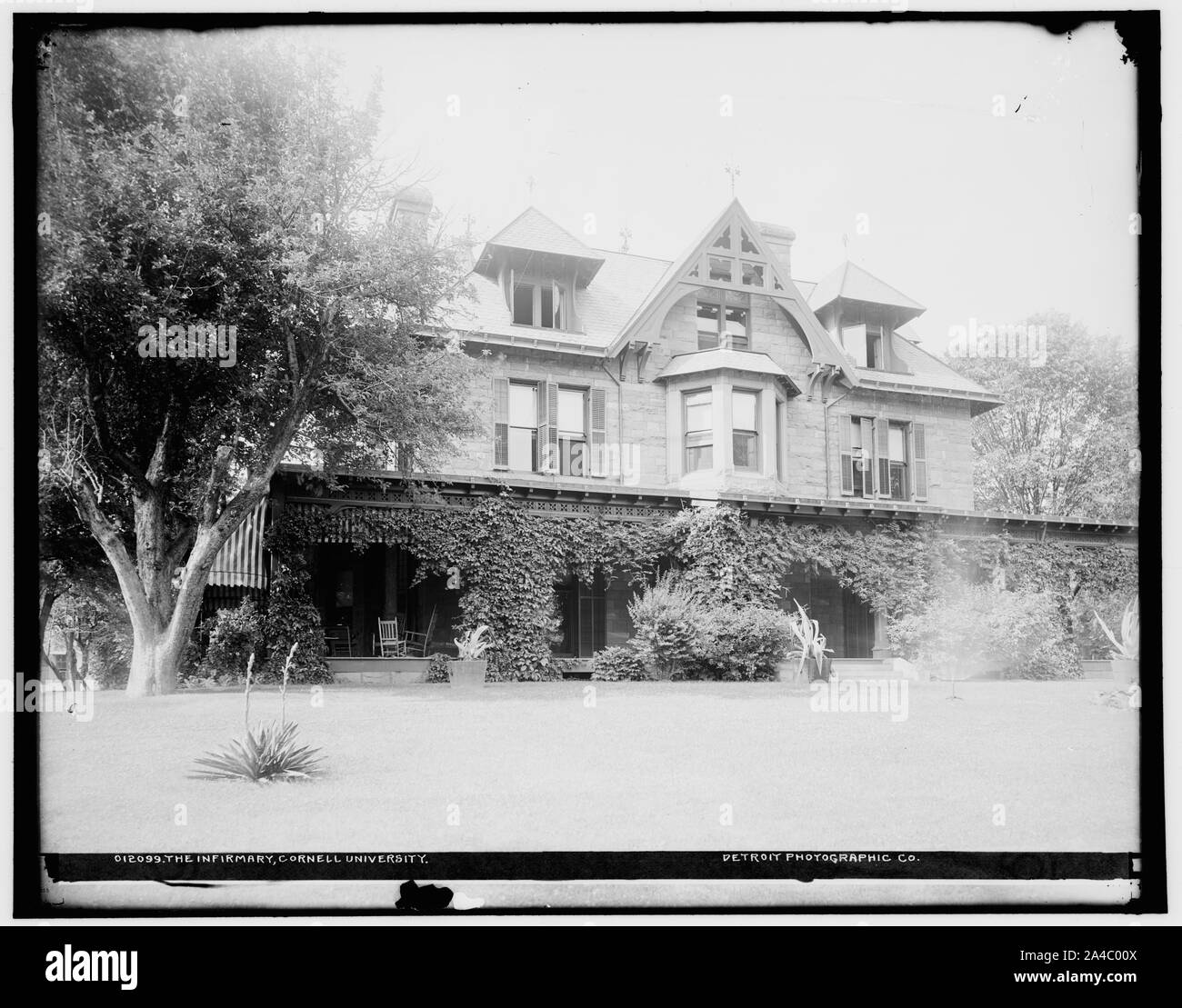 Titre l'infirmerie, l'Université de Cornell les noms des cotisants Detroit Publishing Co., éditeur créé / [publiés entre 1890 et 1901] Subject Headings - Cornell University - Hôpitaux - United States--New York (État)--Ithaca rubriques Format de négatifs sur plaque sèche. Des négatifs sur plaque sèche Genre Notes - Date basée sur Detroit, Catalogue J (1901). - La transparence du verre correspondant (même code de série) disponibles sur vidéodisque frame 1A-29366. - Detroit Publishing Co. no 012099. - Chèque Cadeau Banque D'Images
