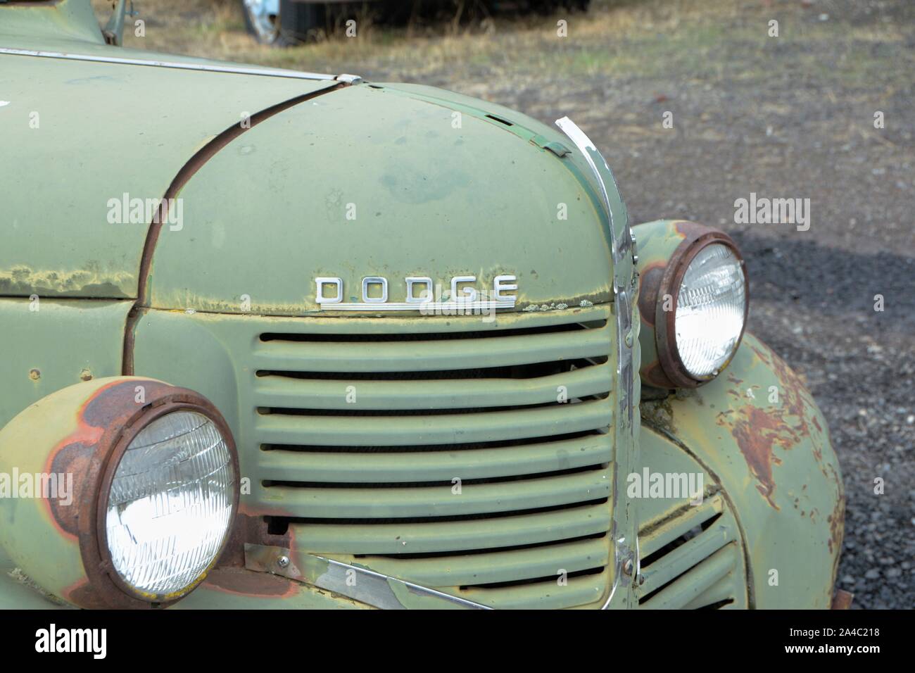 Vieux camions et camionnettes qui sont stockés dans le sud de l'État de Washington aux États-Unis Amérique un pour la vente aux collectionneurs et restaurateurs et les rénovateurs Banque D'Images