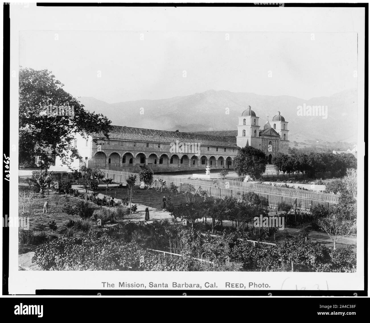 La Mission, Santa Barbara, Californie / Reed, photo. Banque D'Images