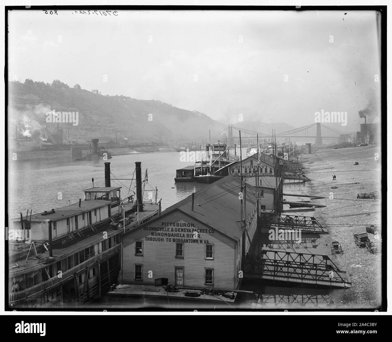 Le Monongahela quais, Pittsburg, Pennsylvanie comprend le bureau de thePittsburgh Brownsville & Co., paquet de Genève et de Pittsburgh à vapeur ''Rose Hite'', 'Queen City'', et de la Monongahela et Ohio River Transportation Company's steamboat Francis J. Torrance une Sidewheel bateau d'excursion. Entre 1900 et 1910 Date Titre Notes de veste. À l'origine partie d'un panorama en deux parties Banque D'Images